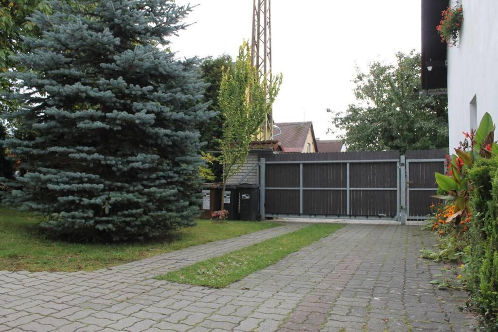 Krasny Apartman V Brane Luzickych Hor Cvikov Luaran gambar