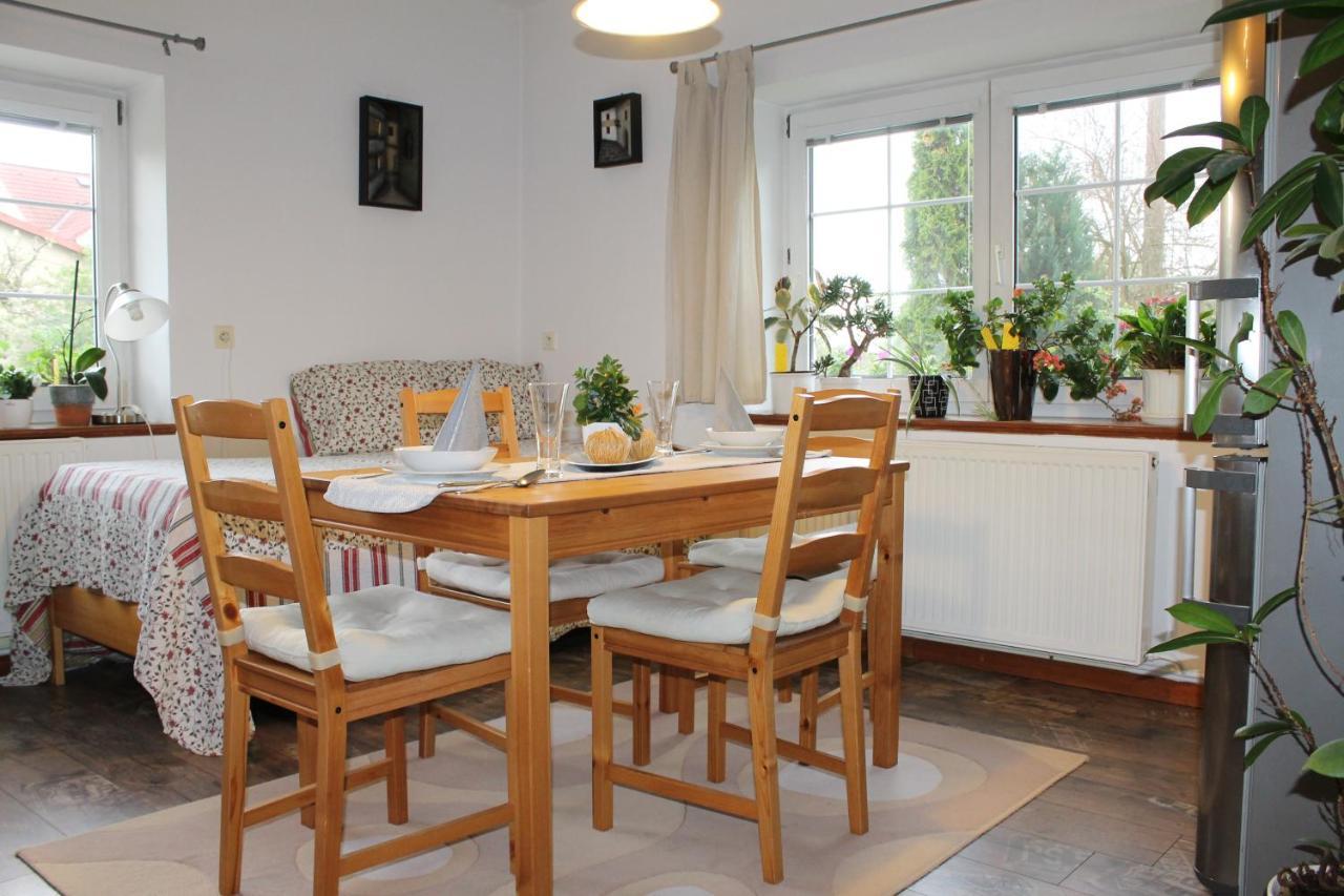 Krasny Apartman V Brane Luzickych Hor Cvikov Luaran gambar