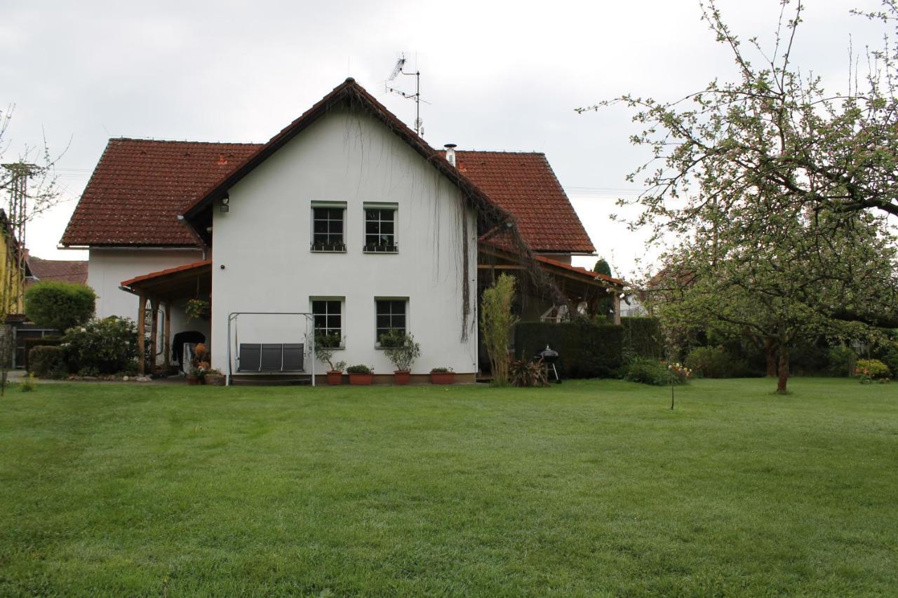 Krasny Apartman V Brane Luzickych Hor Cvikov Luaran gambar